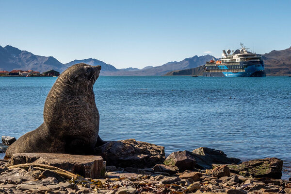 The expedition cruise vessel of the ULSTEIN CX103 design, Ocean Victory, in South Georgia.