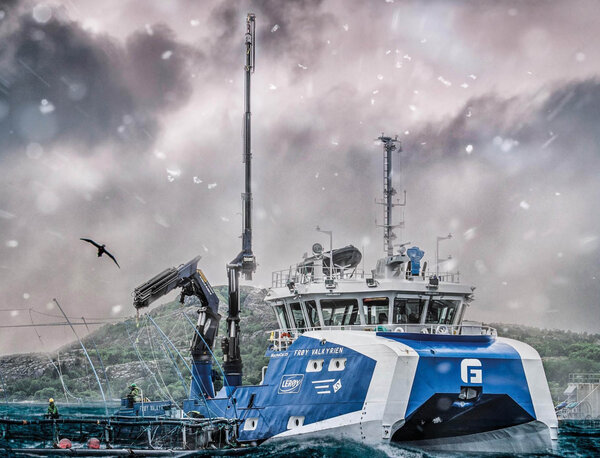 Froey Valkyrien bilde