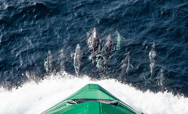 Playful in front of the Bourbon Front photo Christian Remoy