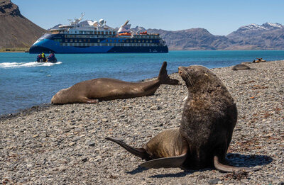 The 'Ocean Victory' on her first voyage to Antarctica. Photo: Albatros Expeditions.